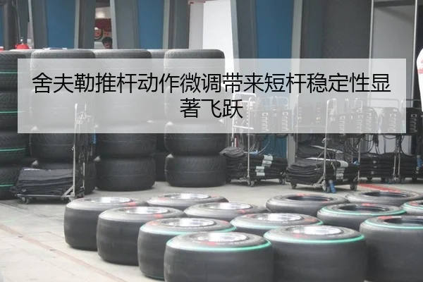 she-fu-lei-tui-gan-dong-zuo-wei-diao-dai-lai-duan-gan-wen-ding-xing-xian-zhu-fei-yue-2-128.jpg