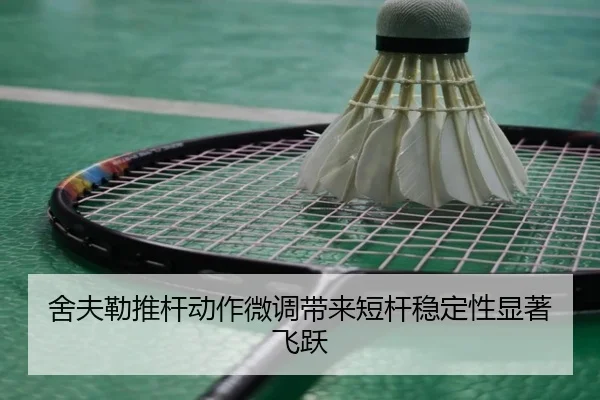 舍夫勒推杆动作微调带来短杆稳定性显著飞跃