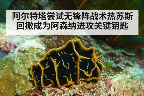 阿尔特塔尝试无锋阵战术热苏斯回撤成为阿森纳进攻关键钥匙